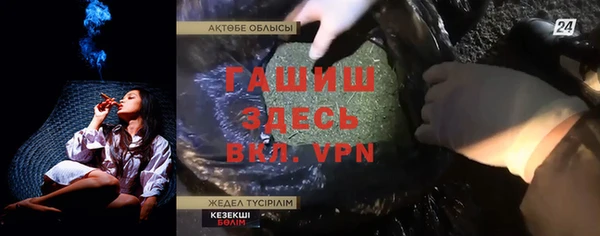 шишки Чегем