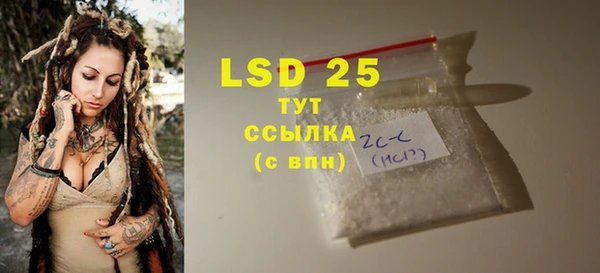 шишки Чегем