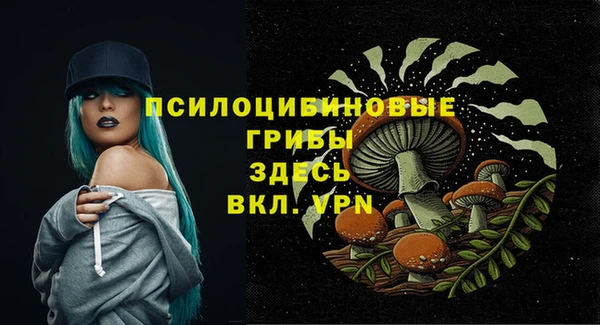mix Переславль-Залесский