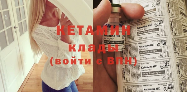 шишки Чегем