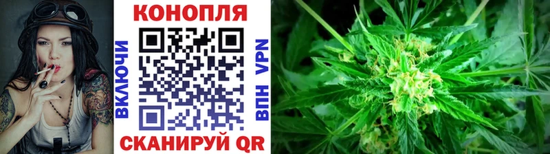 Каннабис индика  Новочебоксарск 